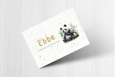 Grote panda en kleine panda Grote panda en kleine panda